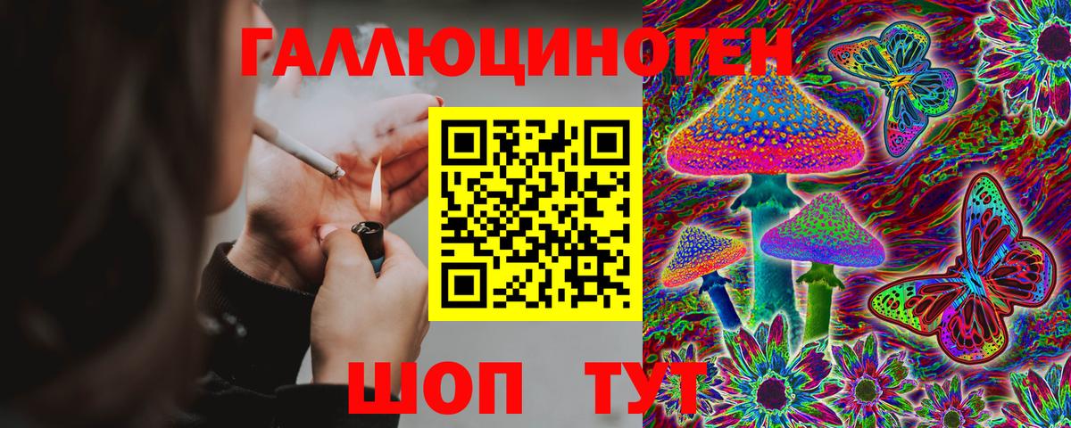 Псилоцибиновые грибы GOLDEN TEACHER Орёл