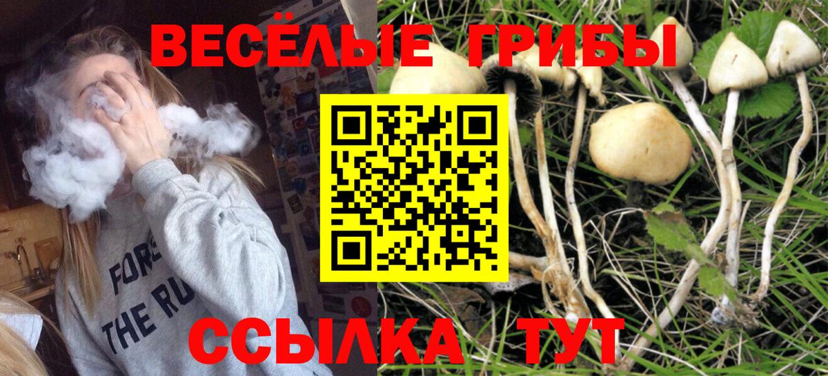 Галлюциногенные грибы прущие грибы  Вход с VPN  Орёл 